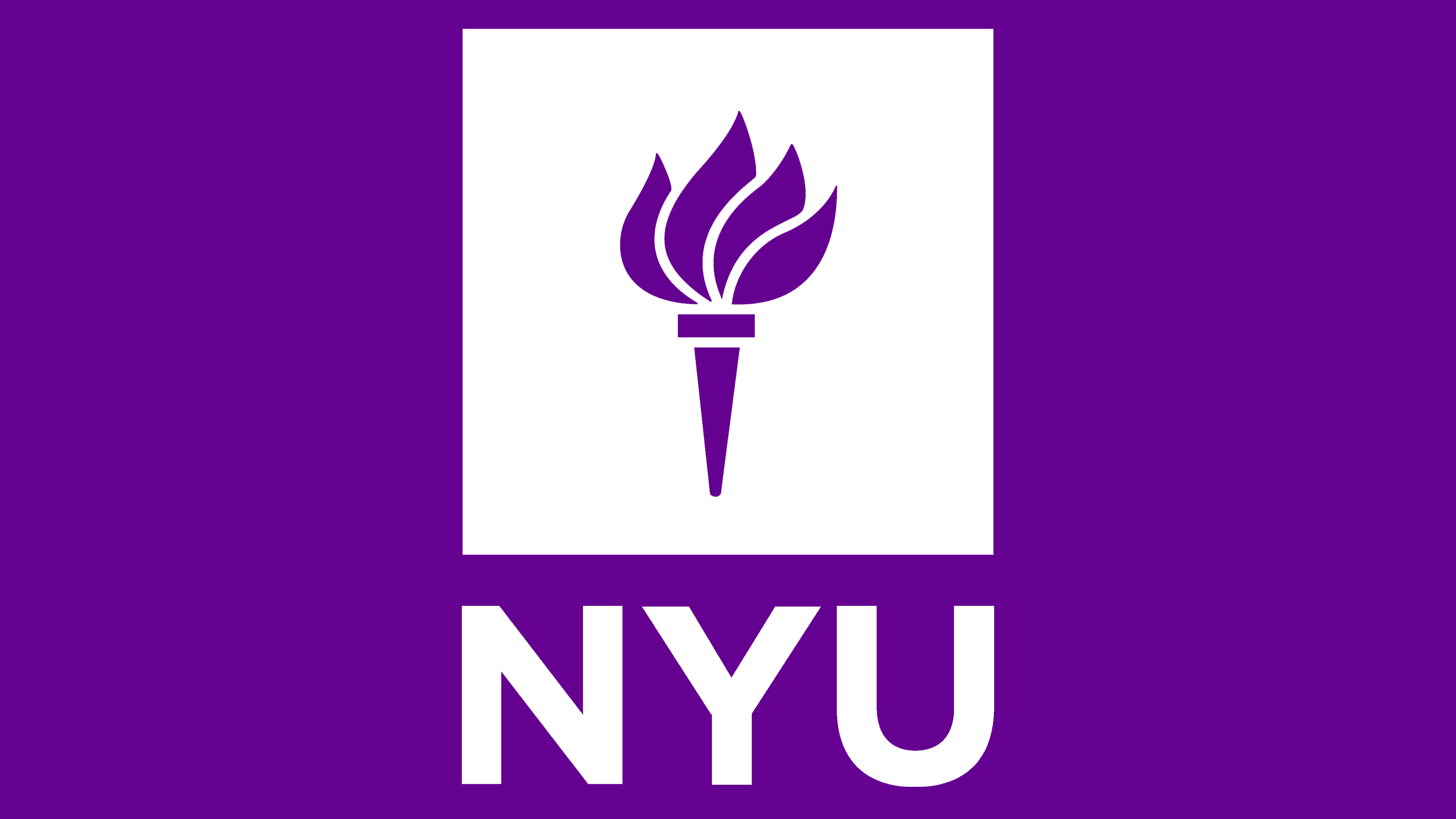New York university