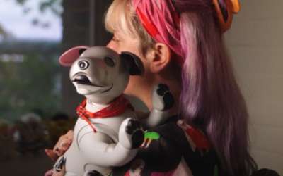 Robotic companion