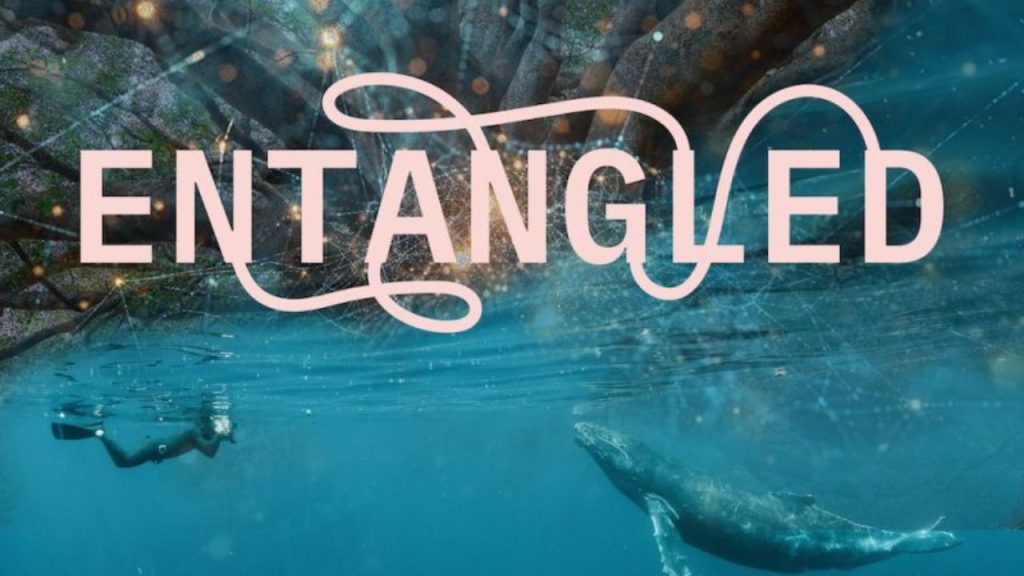 Text: Entangled with image of whale and diver underwater