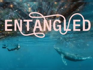 Entangled: A new documentary to explore AI, climate change and conservation